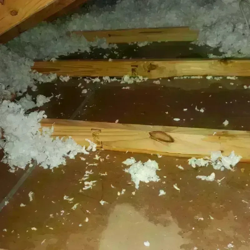 Attic Water Damage in Saint Paul, IN