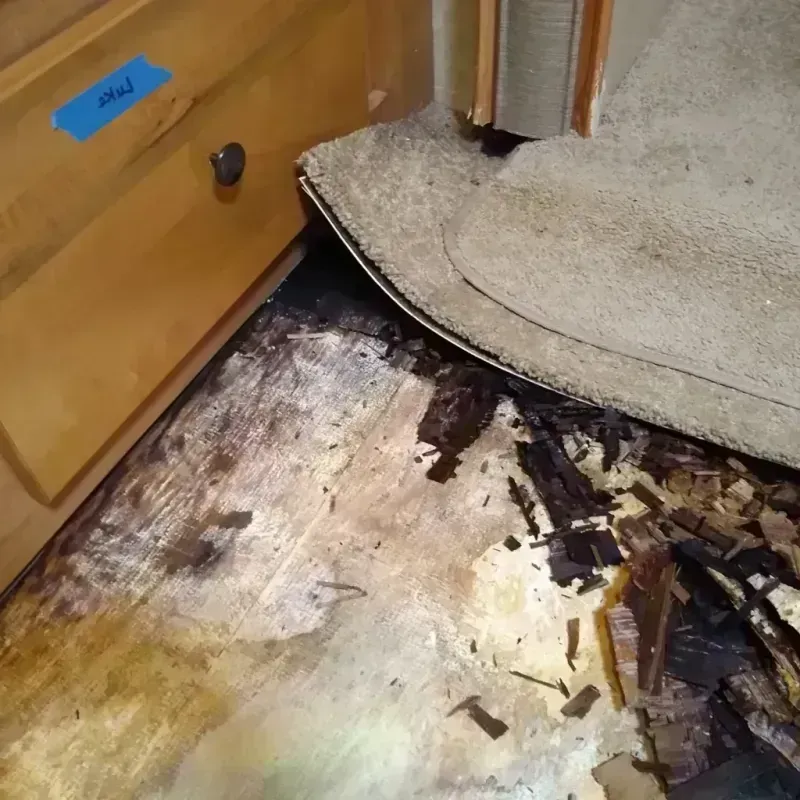 Wood Floor Water Damage in Saint Paul, IN